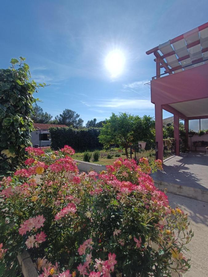 Apartman Brigita Διαμέρισμα Biograd Na Moru Εξωτερικό φωτογραφία