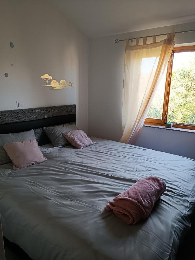 Apartman Brigita Διαμέρισμα Biograd Na Moru Εξωτερικό φωτογραφία